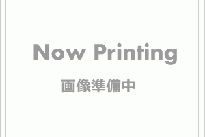 ソラシアレジデンス亀戸